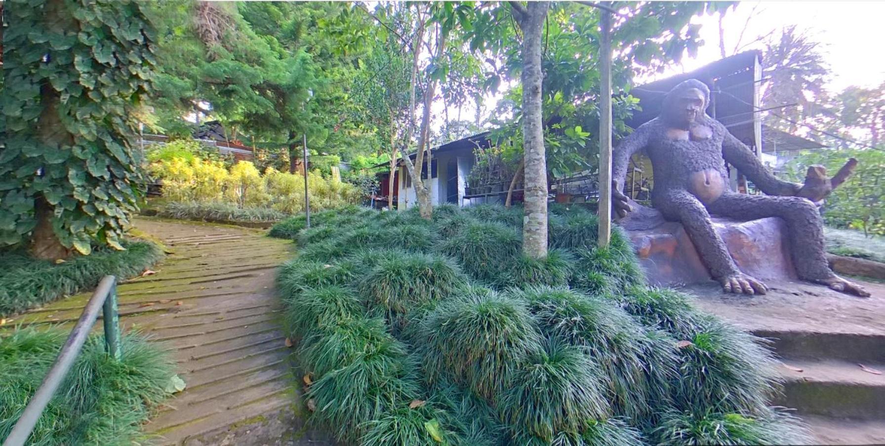 Wayanad Royal Stream Bed & Breakfast Kalpetta Exterior photo