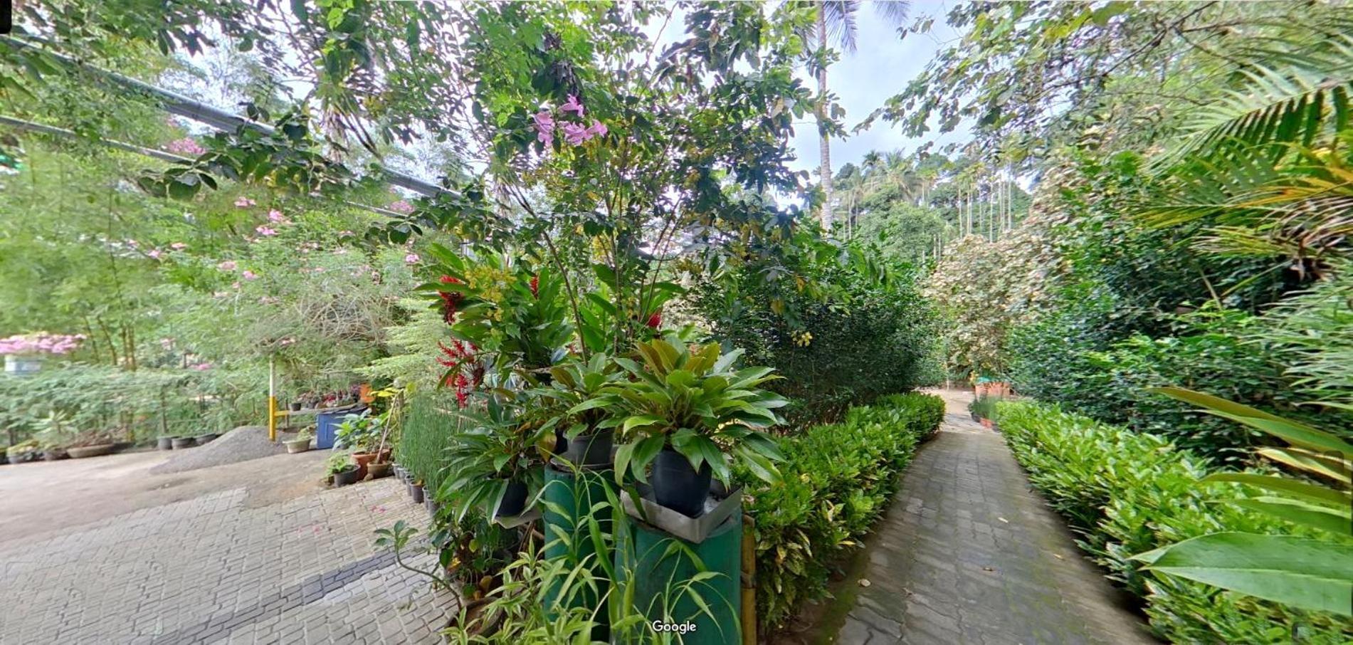 Wayanad Royal Stream Bed & Breakfast Kalpetta Exterior photo