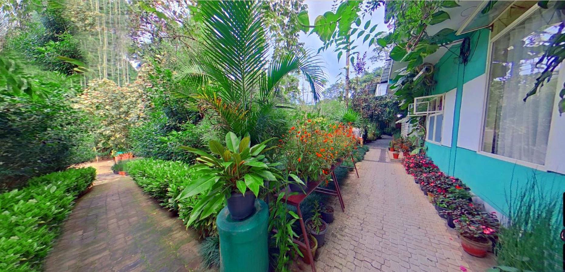 Wayanad Royal Stream Bed & Breakfast Kalpetta Exterior photo